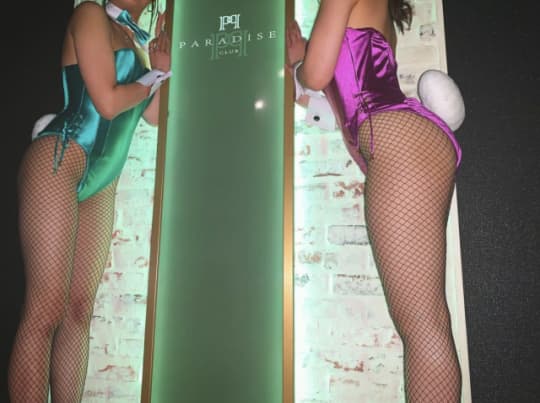 PARADISE CLUB Bunny Lounge