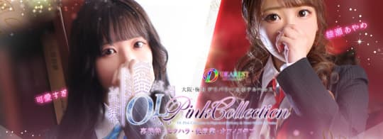 OLピンクコレクション(旧セレブ社外秘）