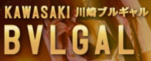 https://www.bvlgal.net/top.html
