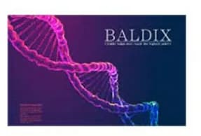 BALDIX(バルディックス)
