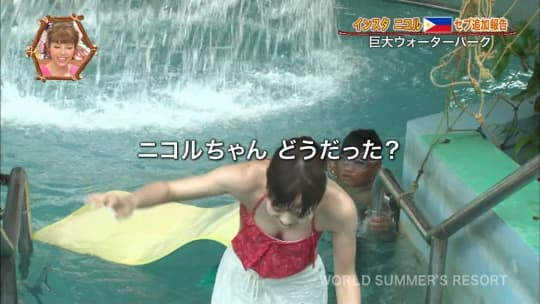 藤田ニコル エロ