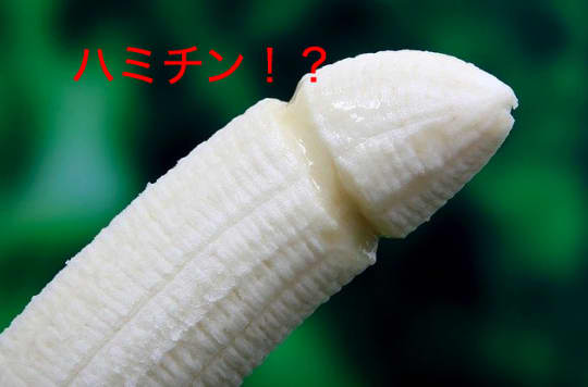 ハミチン