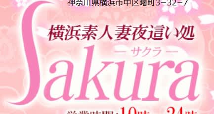 Sakura(サクラ)