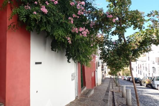 ピンクの花とグラナダの街並み