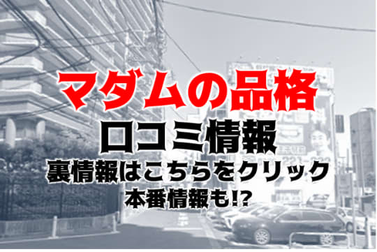 マダムの品格の紹介記事