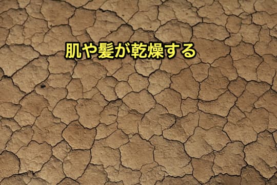 毎日サウナ　乾燥