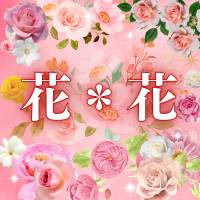 http://www.niigata-hanahana.com/