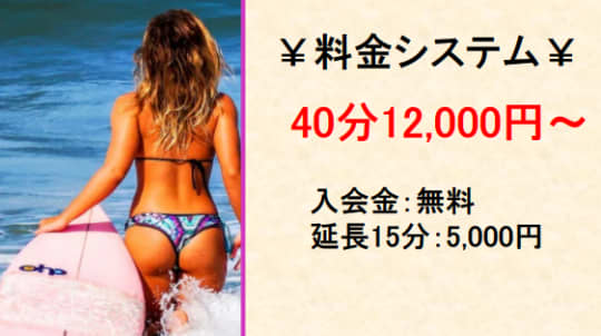 ぴっくるす2の料金表