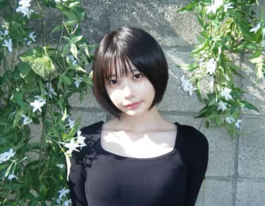 あのちゃん おっぱい