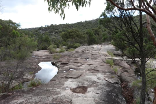 Girraween National Park