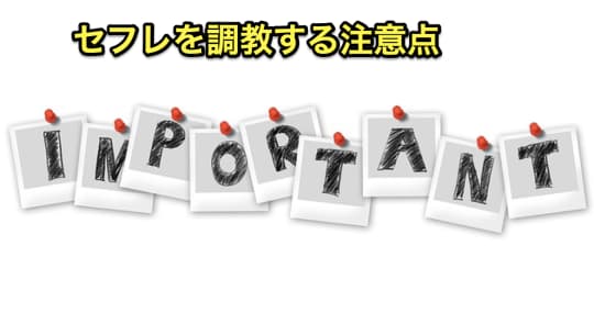 セフレ　調教　注意点