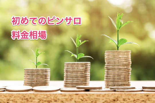 初めてのピンサロ　料金相場