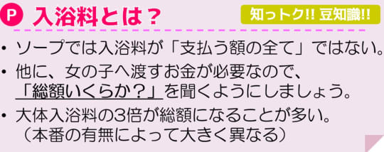 入浴料とは