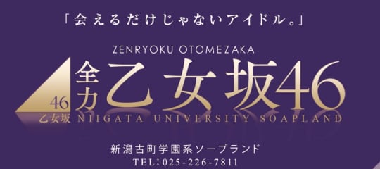 https://www.n-otomezaka46.com/