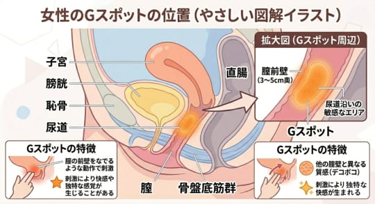 Gスポット　まんこ
