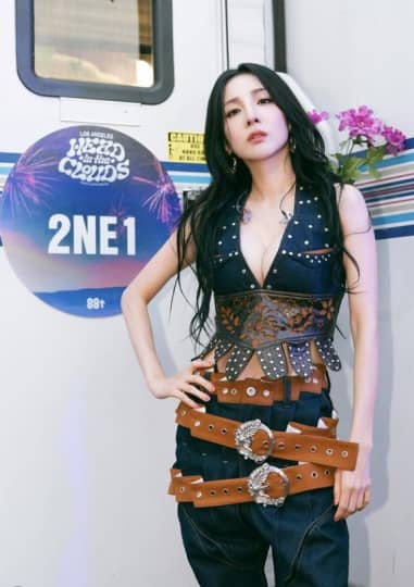  2NE1 流出