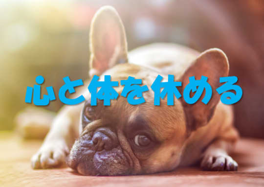フレンチブルドック