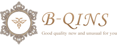 http://bqins.jp/