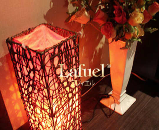 チャイエスの画像