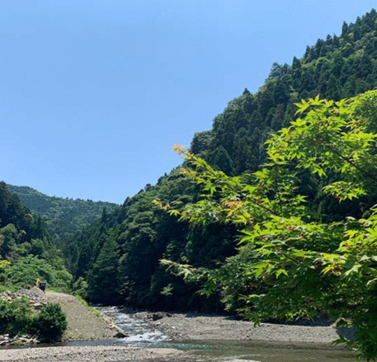 SLOW NATURE山希林キャンプ場