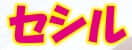 セシルのTOP画像