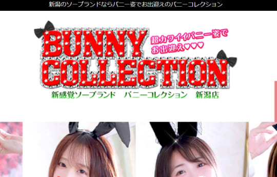 BUNNY COLLECTION(バニーコレクション)