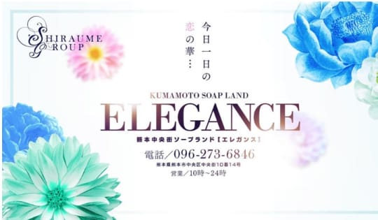ニューエレガンス