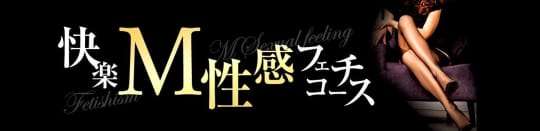公式