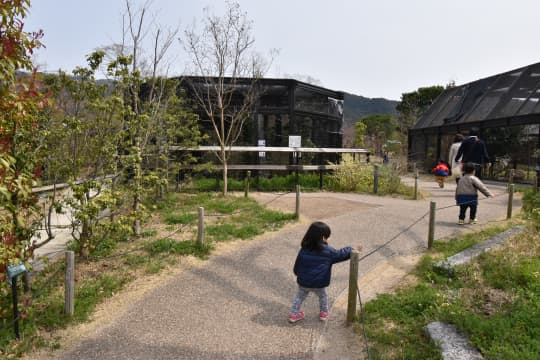 春先の動物園を走り回るわが子