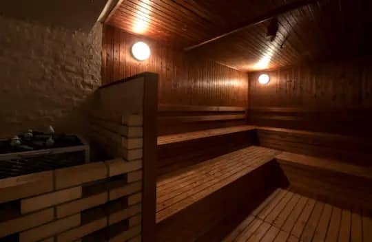 ライブリーサウナ室内イメージ