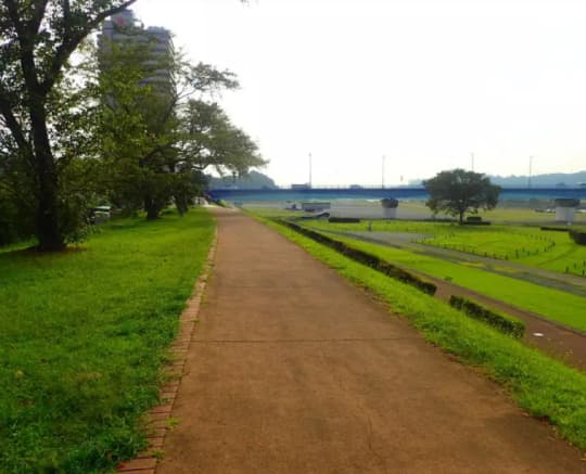 相模川サイクリングロード