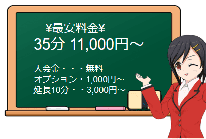 VIPの料金表