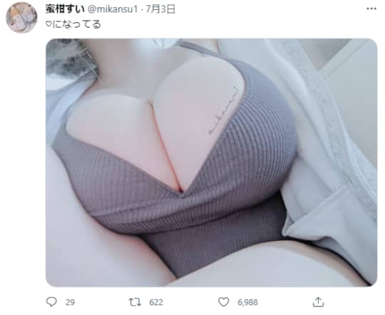 ツイッターの切り抜き