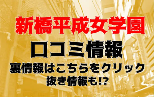 新橋平成女学園の紹介記事