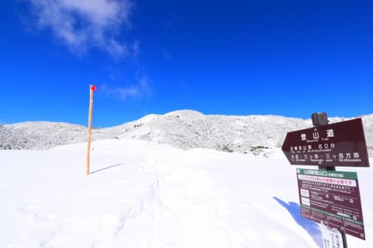 山頂駅前より登山道を見上げて