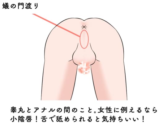 アナルを舐める