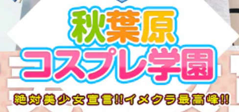 秋葉原コスプレ学園