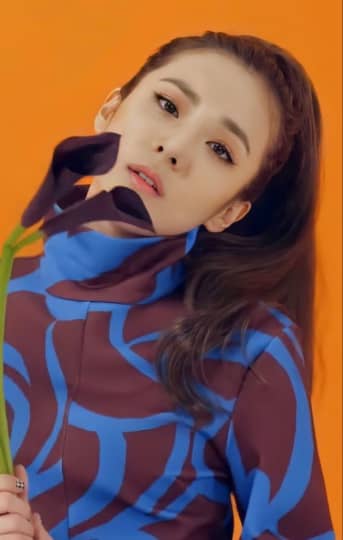 2NE1 流出