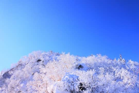 アルプスの樹氷