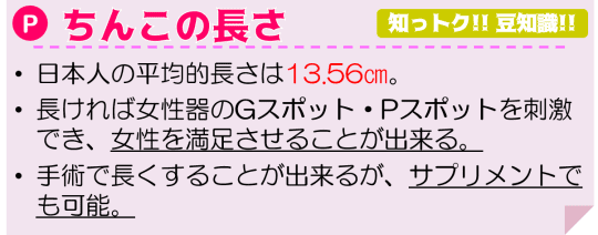 ちんこの長さ