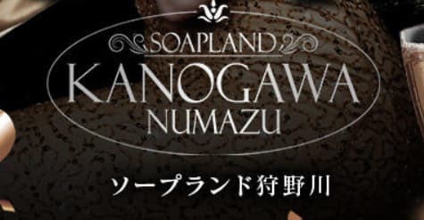 https://www.soapland-kanogawa.com/