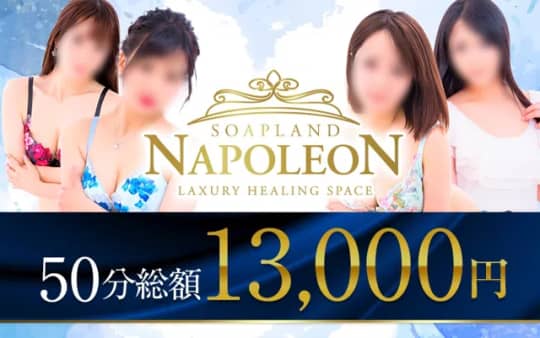 ナポレオンのHP画像