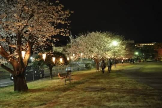 公園