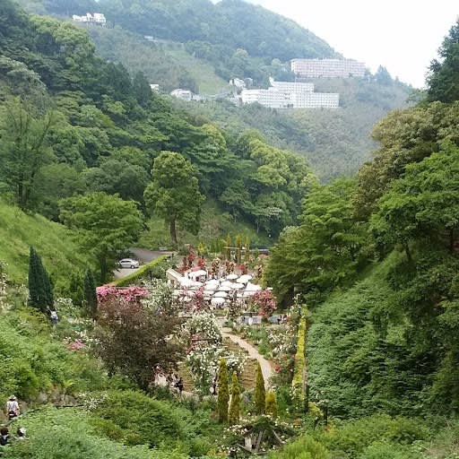 バラが咲き乱れる山あいの庭園