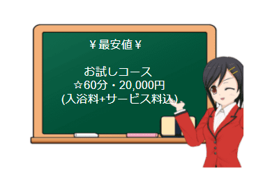 ヤングレディー料金表