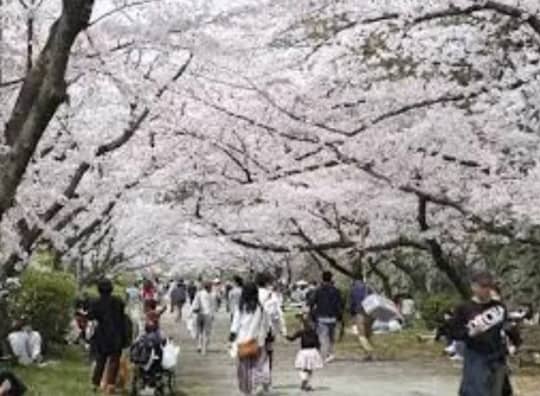 舞鶴公園