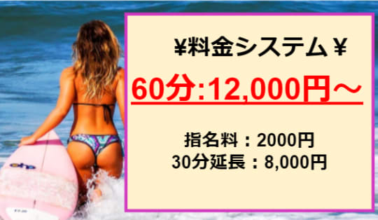 若妻ギンギン物語の料金表