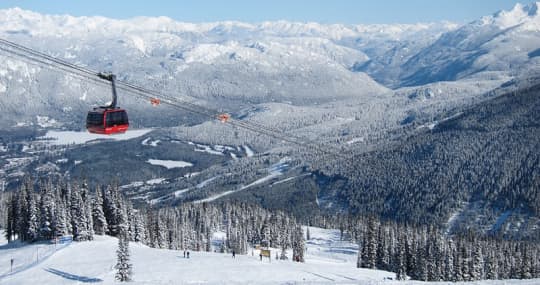 gondora-blackcomb