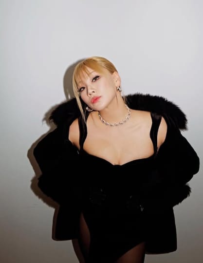 2NE1 流出