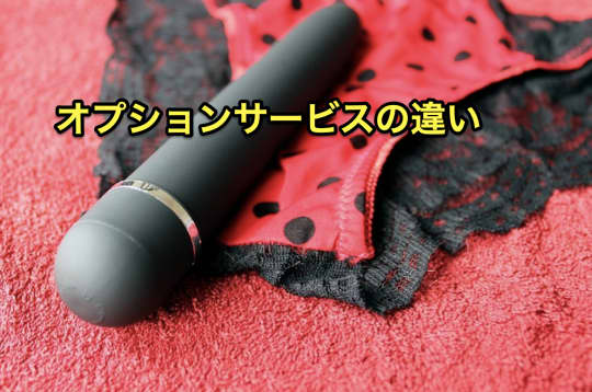 ホテヘル　デリヘル　オプション　違い
